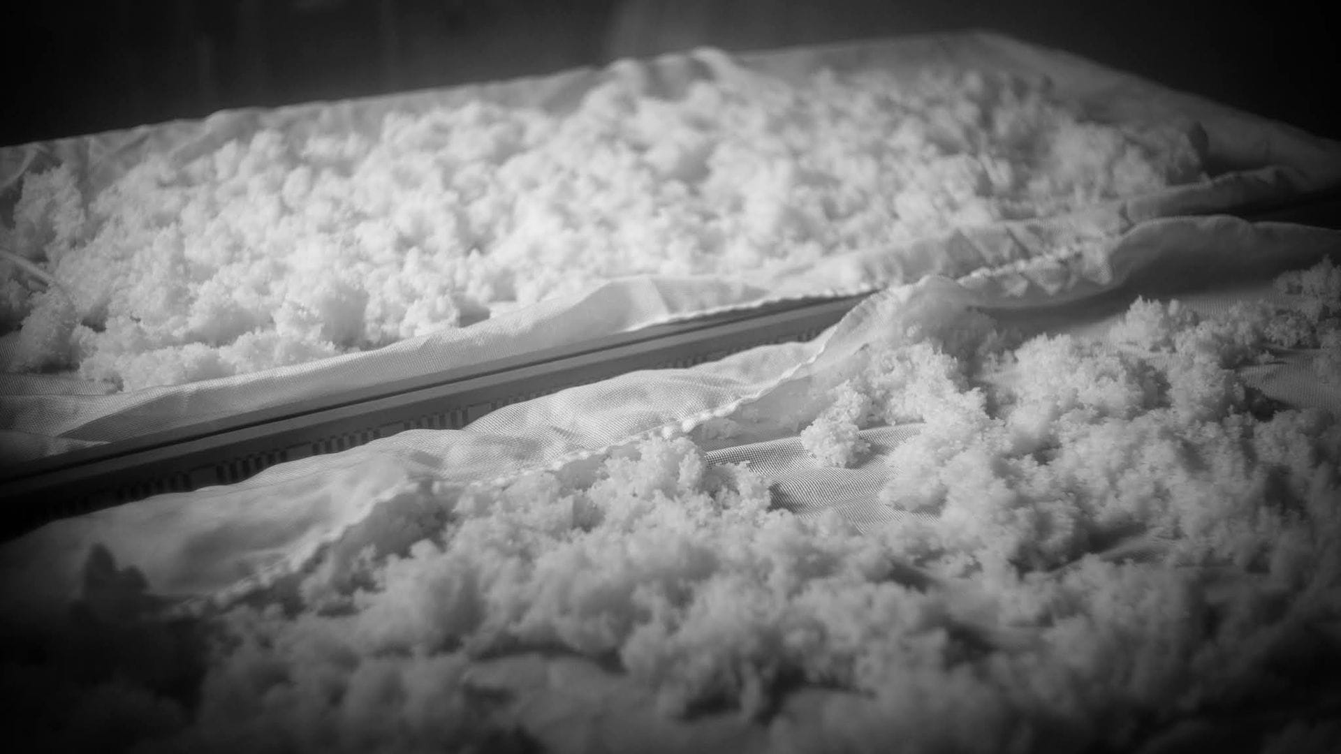 Koji spread out on cloth